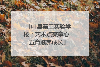 叶县第二实验学校：艺术点亮童心 五育滋养成长