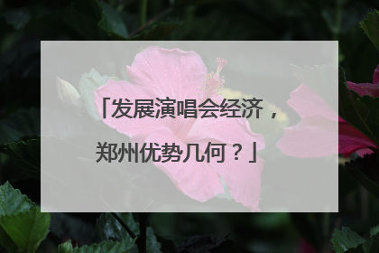 发展演唱会经济，郑州优势几何？