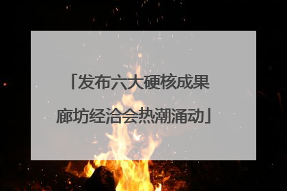 发布六大硬核成果 廊坊经洽会热潮涌动
