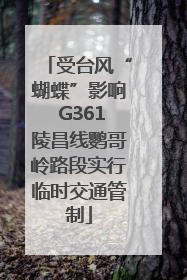 受台风“蝴蝶”影响 G361陵昌线鹦哥岭路段实行临时交通管制