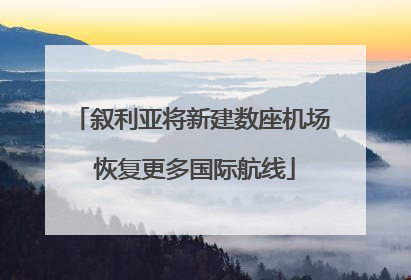 叙利亚将新建数座机场 恢复更多国际航线