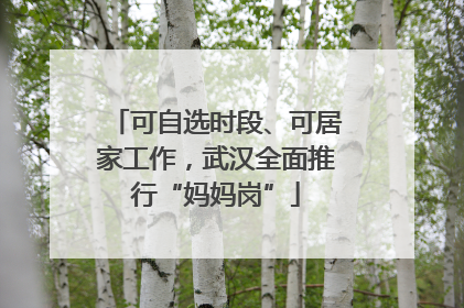 可自选时段、可居家工作，武汉全面推行“妈妈岗”
