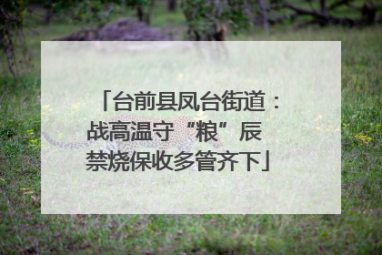 台前县凤台街道：战高温守“粮”辰 禁烧保收多管齐下