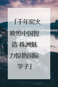 千年窑火映照中国智造 株洲魅力惊艳国际学子