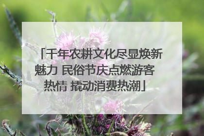 千年农耕文化尽显焕新魅力 民俗节庆点燃游客热情 撬动消费热潮
