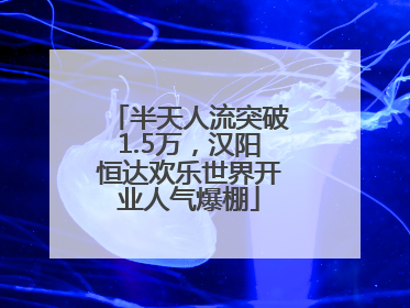 半天人流突破1.5万，汉阳恒达欢乐世界开业人气爆棚