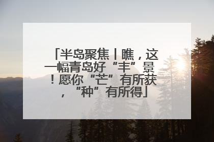 半岛聚焦丨瞧，这一幅青岛好“丰”景！愿你“芒”有所获，“种”有所得