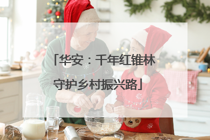 华安：千年红锥林守护乡村振兴路