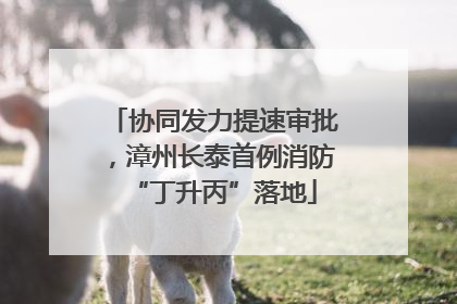 协同发力提速审批，漳州长泰首例消防“丁升丙”落地