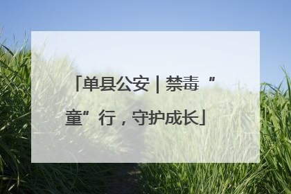 单县公安｜禁毒“童”行，守护成长