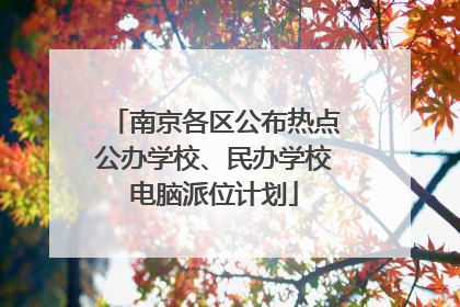 南京各区公布热点公办学校、民办学校电脑派位计划