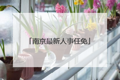 南京最新人事任免