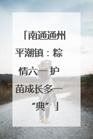 南通通州平潮镇：粽情六一 护苗成长多一“典”