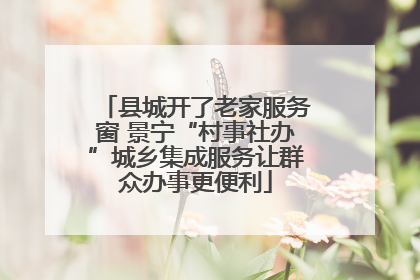 县城开了老家服务窗 景宁“村事社办”城乡集成服务让群众办事更便利