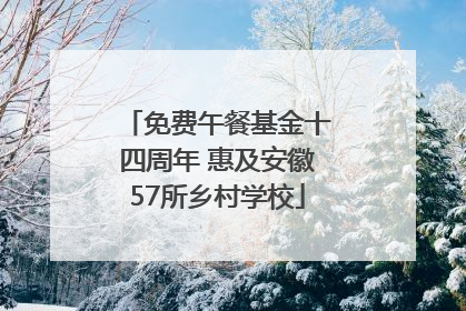 免费午餐基金十四周年 惠及安徽57所乡村学校