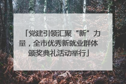党建引领汇聚“新”力量，全市优秀新就业群体颁奖典礼活动举行