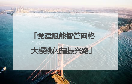 党建赋能智管网格 大樱桃闪耀振兴路