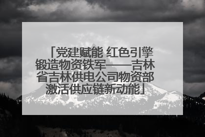 党建赋能 红色引擎锻造物资铁军——吉林省吉林供电公司物资部激活供应链新动能