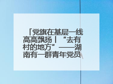 党旗在基层一线高高飘扬丨“去有村的地方”——湖南有一群青年党员这样选择