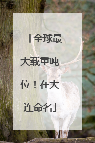 全球最大载重吨位！在大连命名