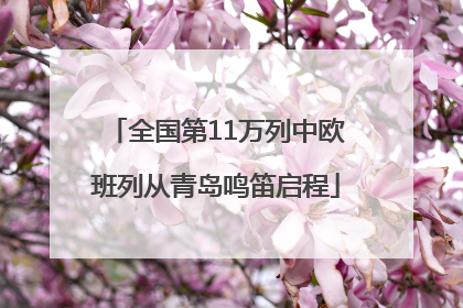 全国第11万列中欧班列从青岛鸣笛启程