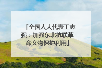 全国人大代表王志强：加强东北抗联革命文物保护利用