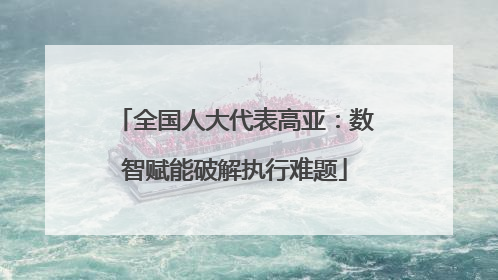 全国人大代表高亚：数智赋能破解执行难题