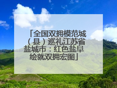 全国双拥模范城（县）巡礼江苏省盐城市：红色盐阜绘就双拥宏图