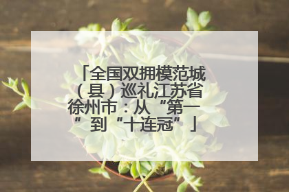 全国双拥模范城（县）巡礼江苏省徐州市：从“第一”到“十连冠”