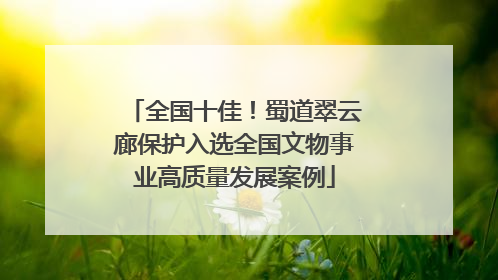 全国十佳！蜀道翠云廊保护入选全国文物事业高质量发展案例