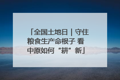 全国土地日｜守住粮食生产命根子 看中原如何“耕”新