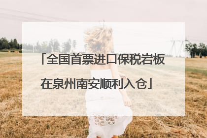 全国首票进口保税岩板在泉州南安顺利入仓
