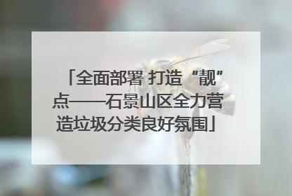 全面部署 打造“靓” 点——石景山区全力营造垃圾分类良好氛围