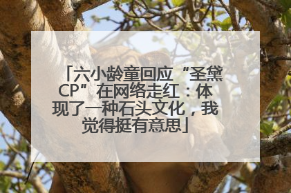 六小龄童回应“圣黛CP”在网络走红：体现了一种石头文化，我觉得挺有意思