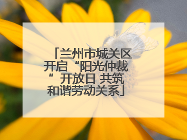 兰州市城关区开启“阳光仲裁”开放日 共筑和谐劳动关系