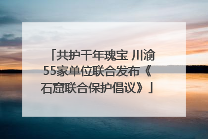 共护千年瑰宝 川渝55家单位联合发布《石窟联合保护倡议》