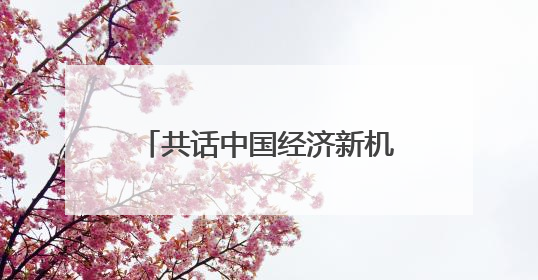 共话中国经济新机遇丨专访：期待不断深化对华经贸合作——访马耳他贸易局首席执行官布蒂吉格