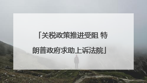 关税政策推进受阻 特朗普政府求助上诉法院