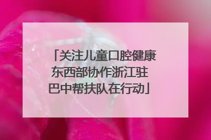 关注儿童口腔健康 东西部协作浙江驻巴中帮扶队在行动