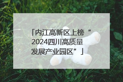 内江高新区上榜“2024四川高质量发展产业园区”