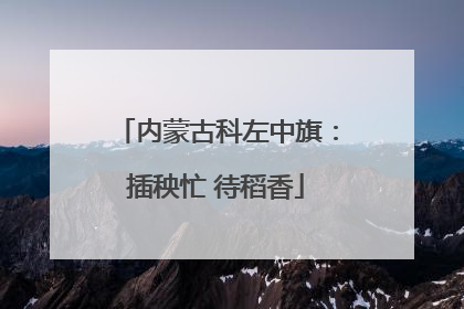 内蒙古科左中旗：插秧忙 待稻香