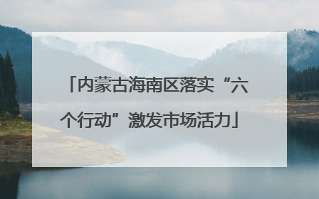 内蒙古海南区落实“六个行动”激发市场活力