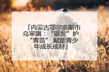 内蒙古鄂尔多斯市乌审旗：“银发”护“青苗” 赋能青少年成长成材