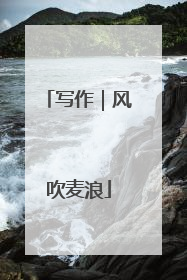写作｜风吹麦浪