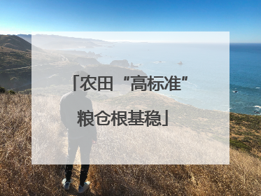 农田“高标准” 粮仓根基稳