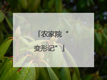 农家院“变形记”