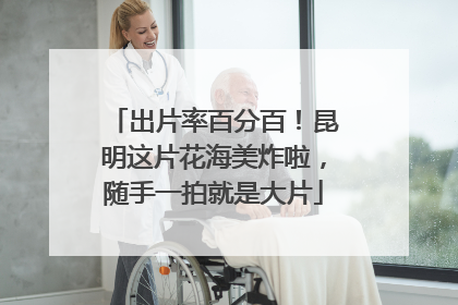出片率百分百！昆明这片花海美炸啦，随手一拍就是大片
