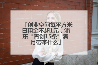 创业空间每平方米日租金不超1元，浦东“青创15条”满月带来什么