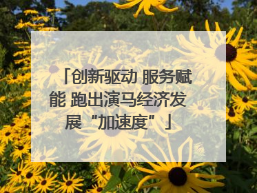 创新驱动 服务赋能 跑出演马经济发展“加速度”