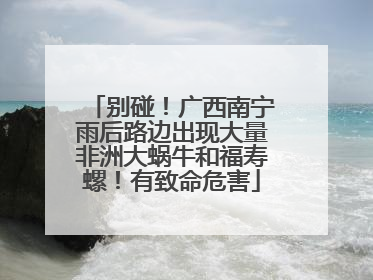 别碰！广西南宁雨后路边出现大量非洲大蜗牛和福寿螺！有致命危害